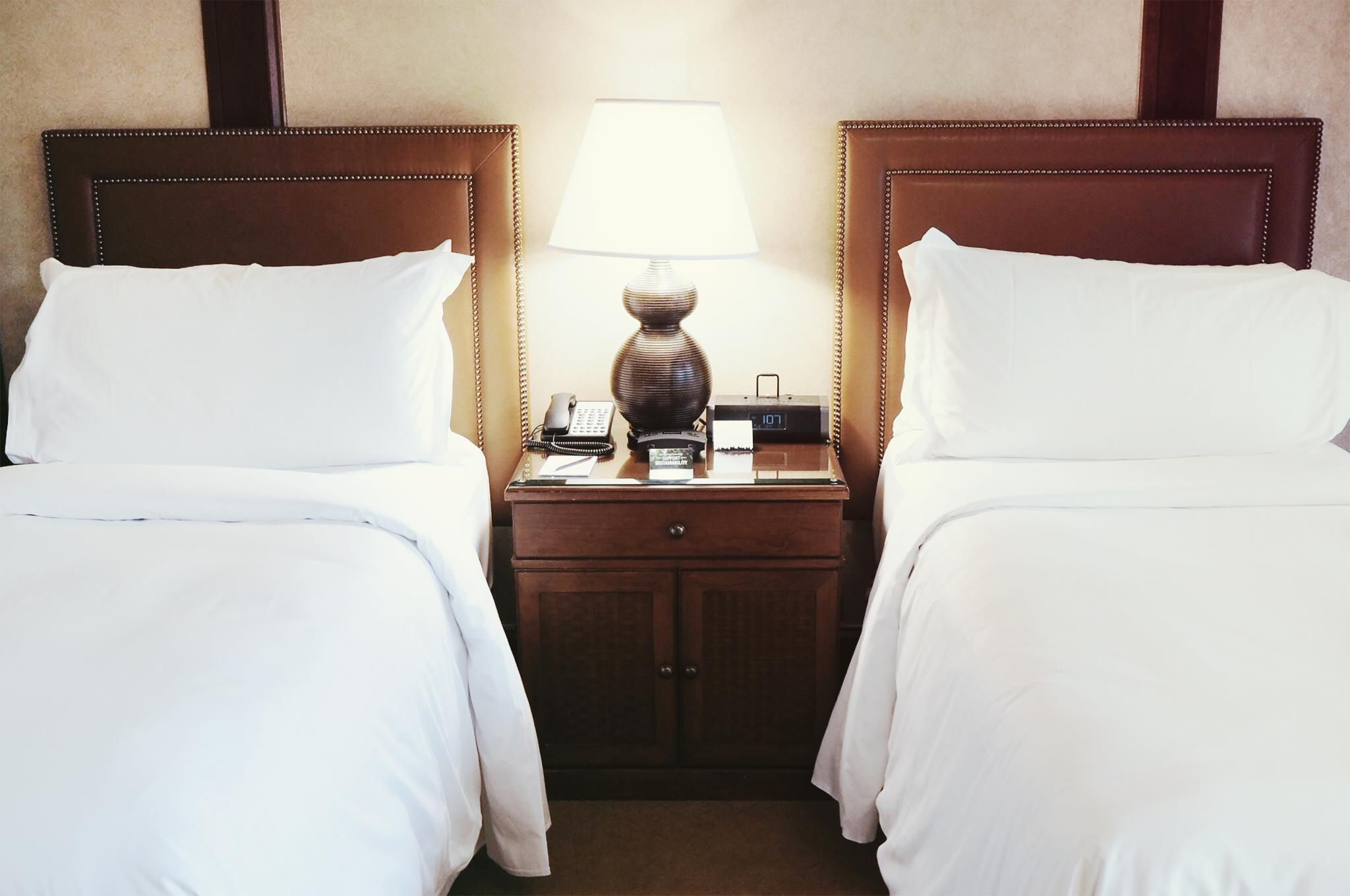 Mountain View Room single