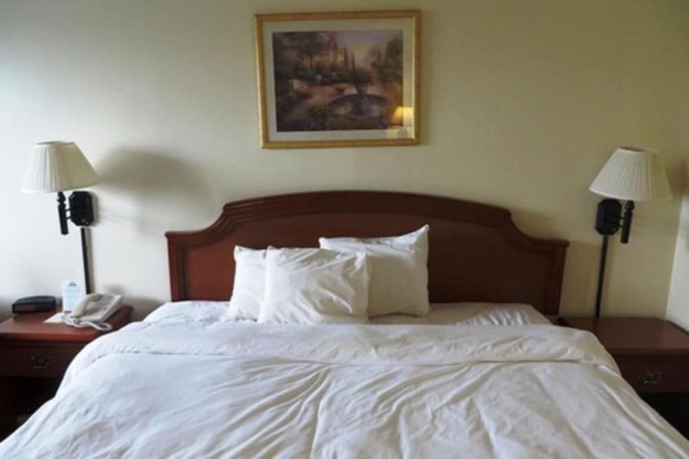 Standard Room, 1 King Bed, Accessible