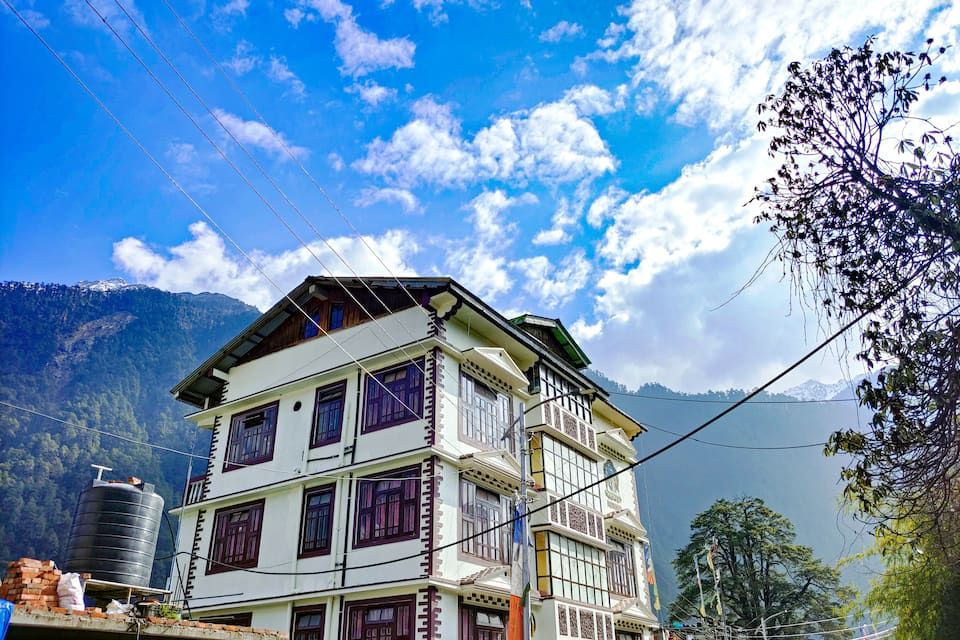 undefined Rufina Blue Pine 6