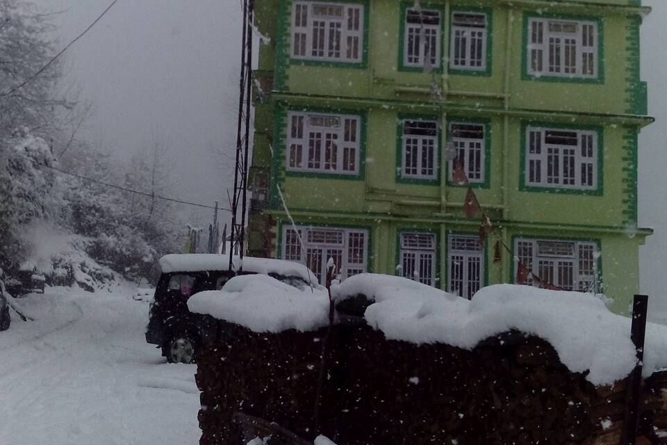 undefined Rufina Blue Pine 8