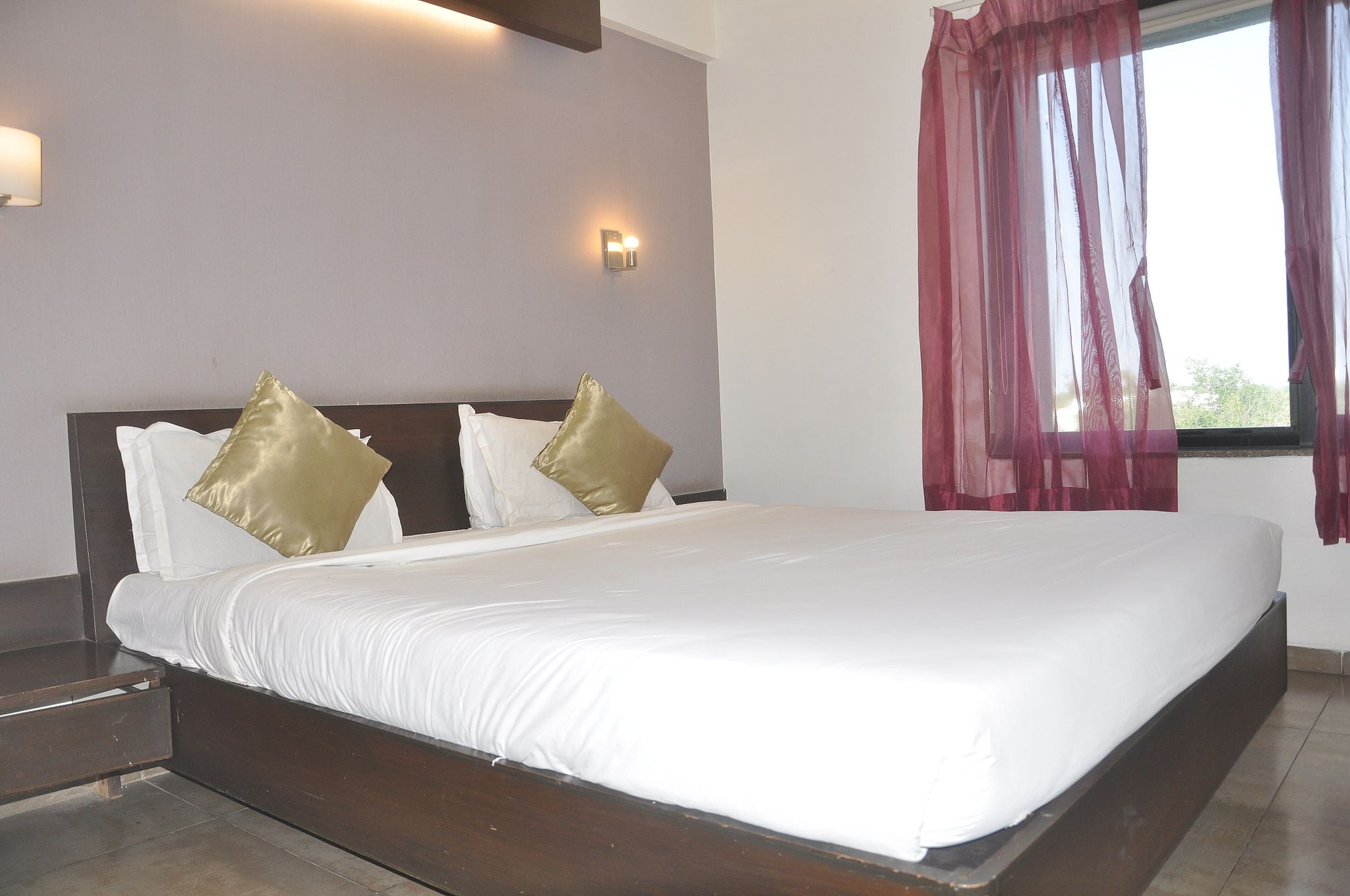 image_2626542_36ddabdf-fb9a-4783-bed9-2fcd05dda2f1_proc