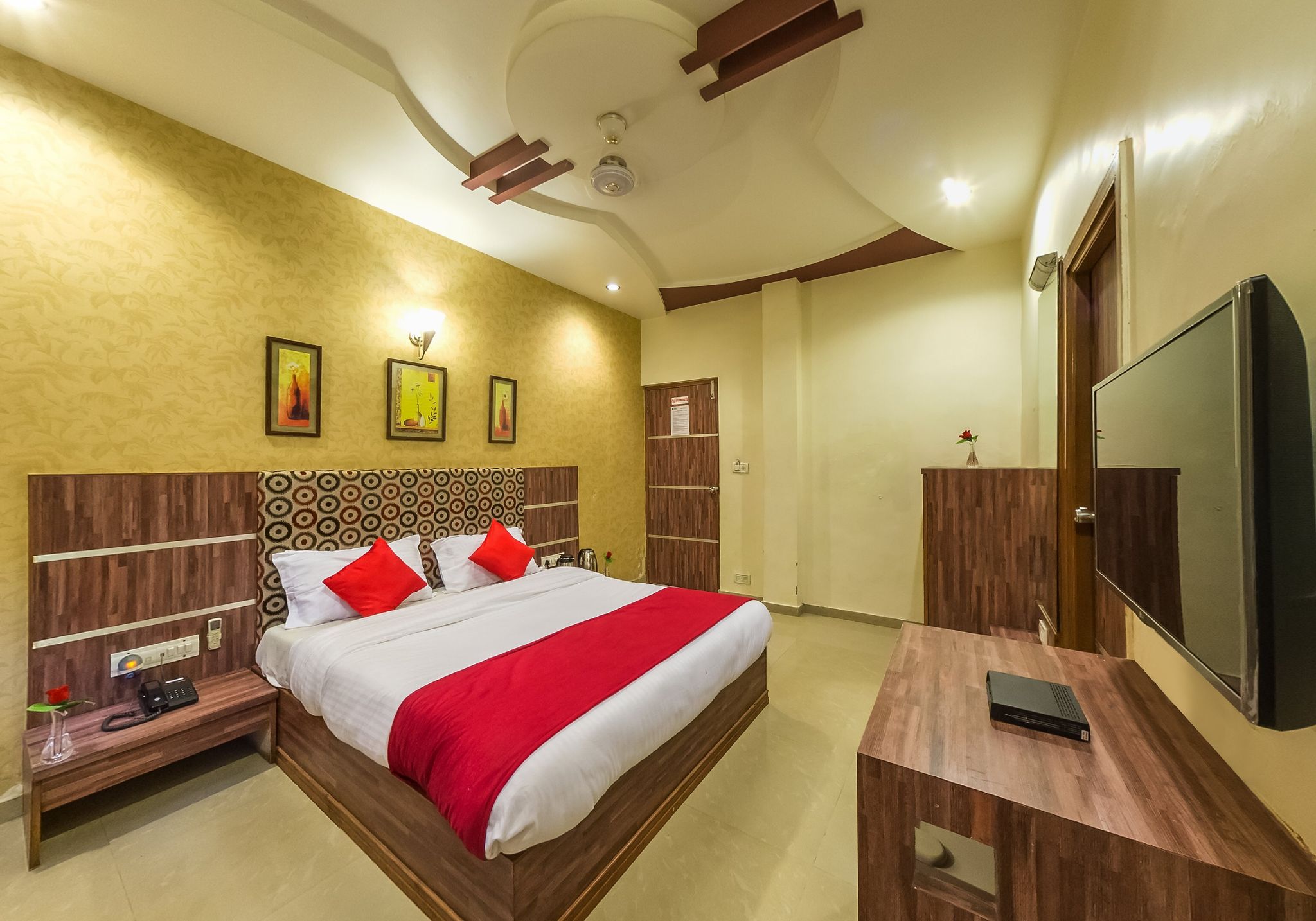 image_2626554_e675d10a-f8b3-41f7-a57f-e6ecc26a8b26