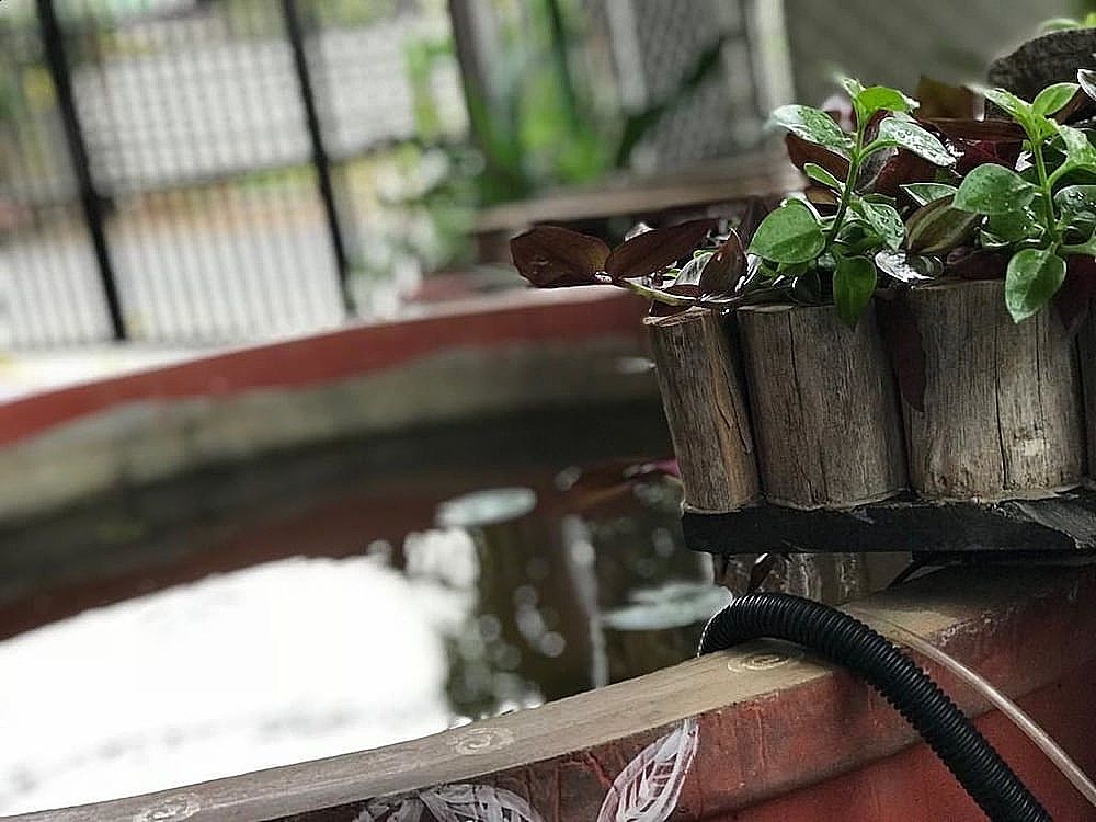 undefined Tranquil Serviced Apartments 4