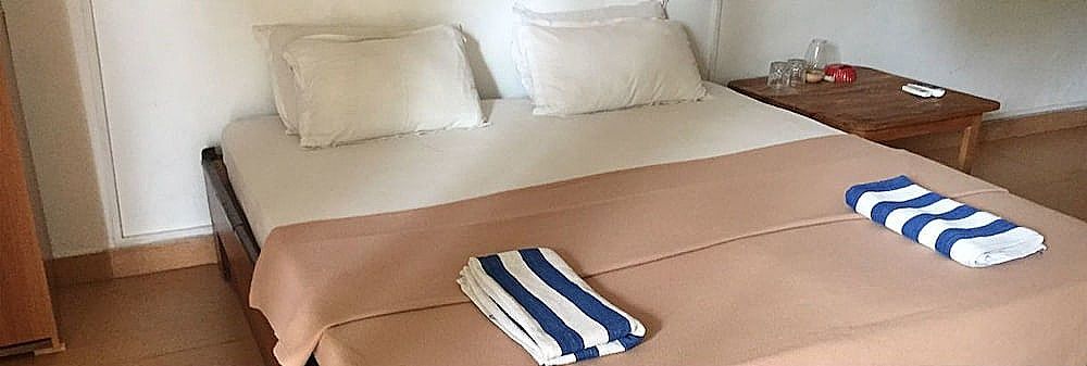 undefined Ashoka Ashvem 9