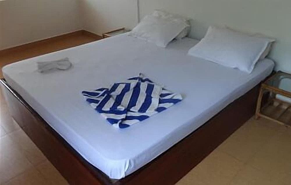 undefined Ashoka Ashvem 10