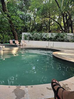 undefined JUNGLE by Sturmfrei 4