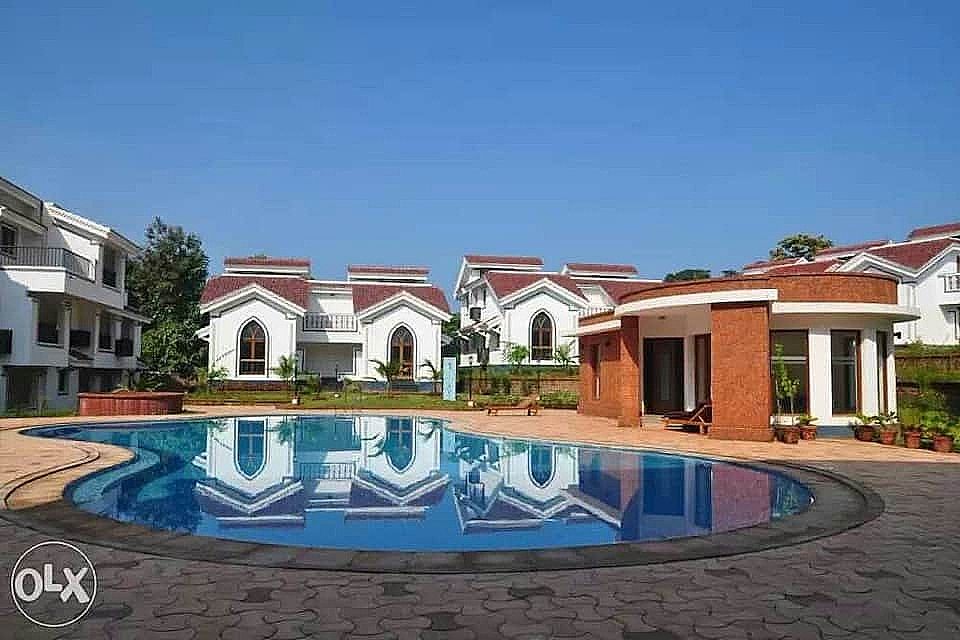 undefined Paradise 2