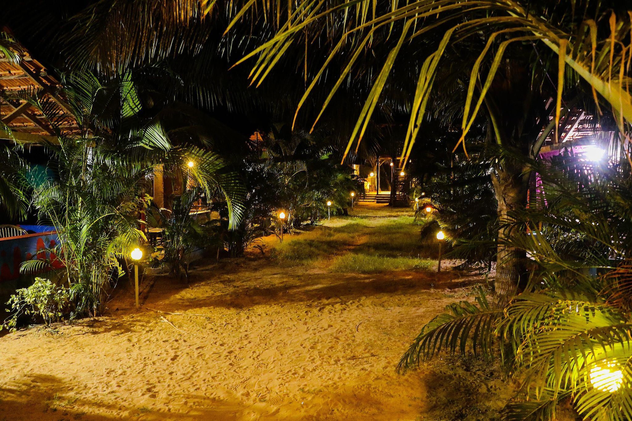 undefined Royal Resort Rajbag 10