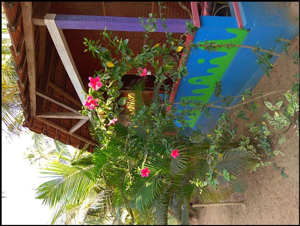 undefined Royal Resort Rajbag 8