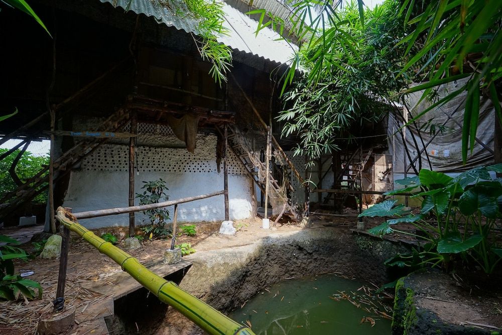 undefined Saraya Art Cafe B&B 10