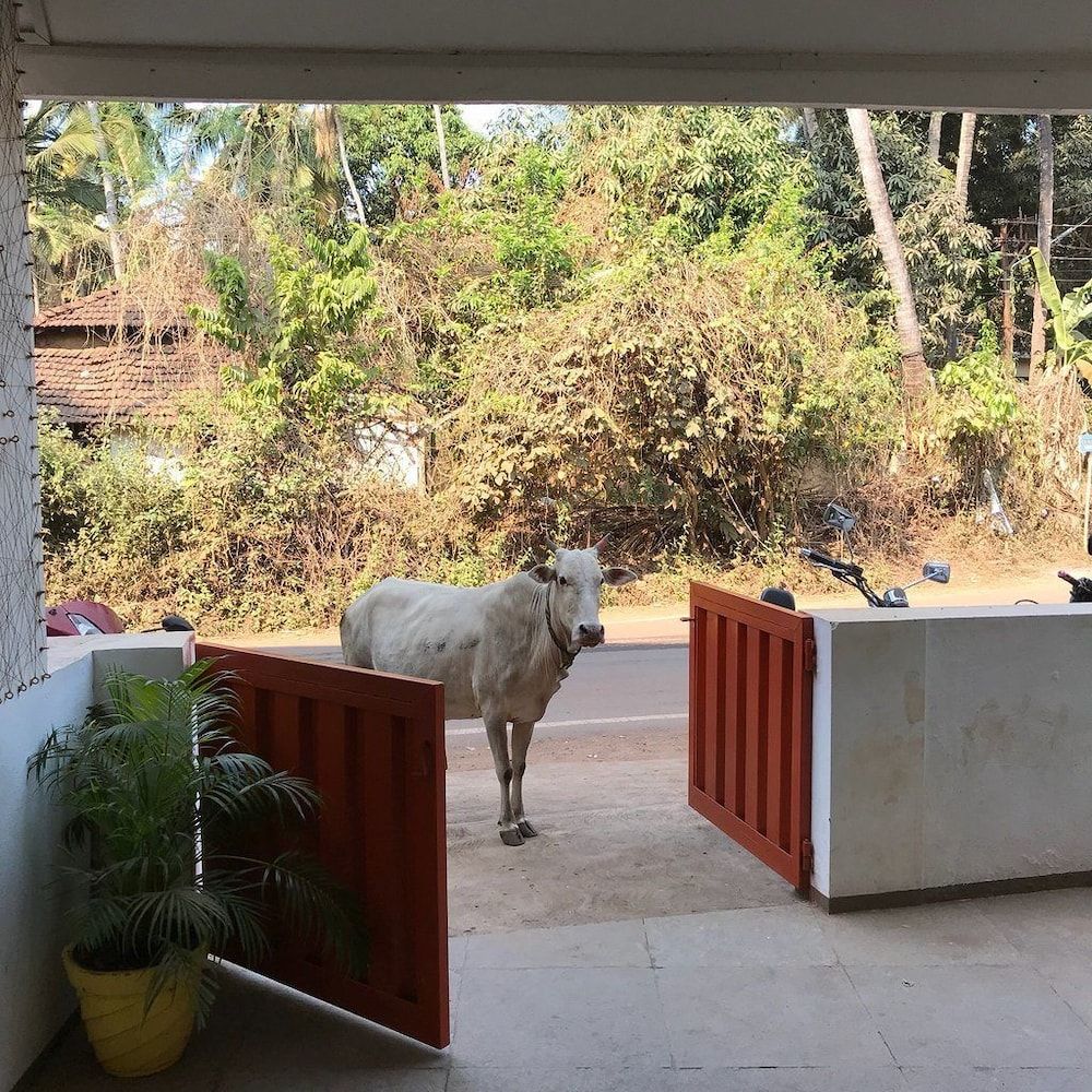 undefined SUMMER by thehostelcrowd 3