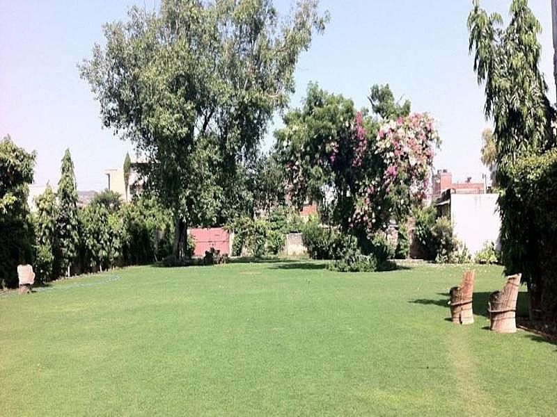 undefined Saba Haveli 4
