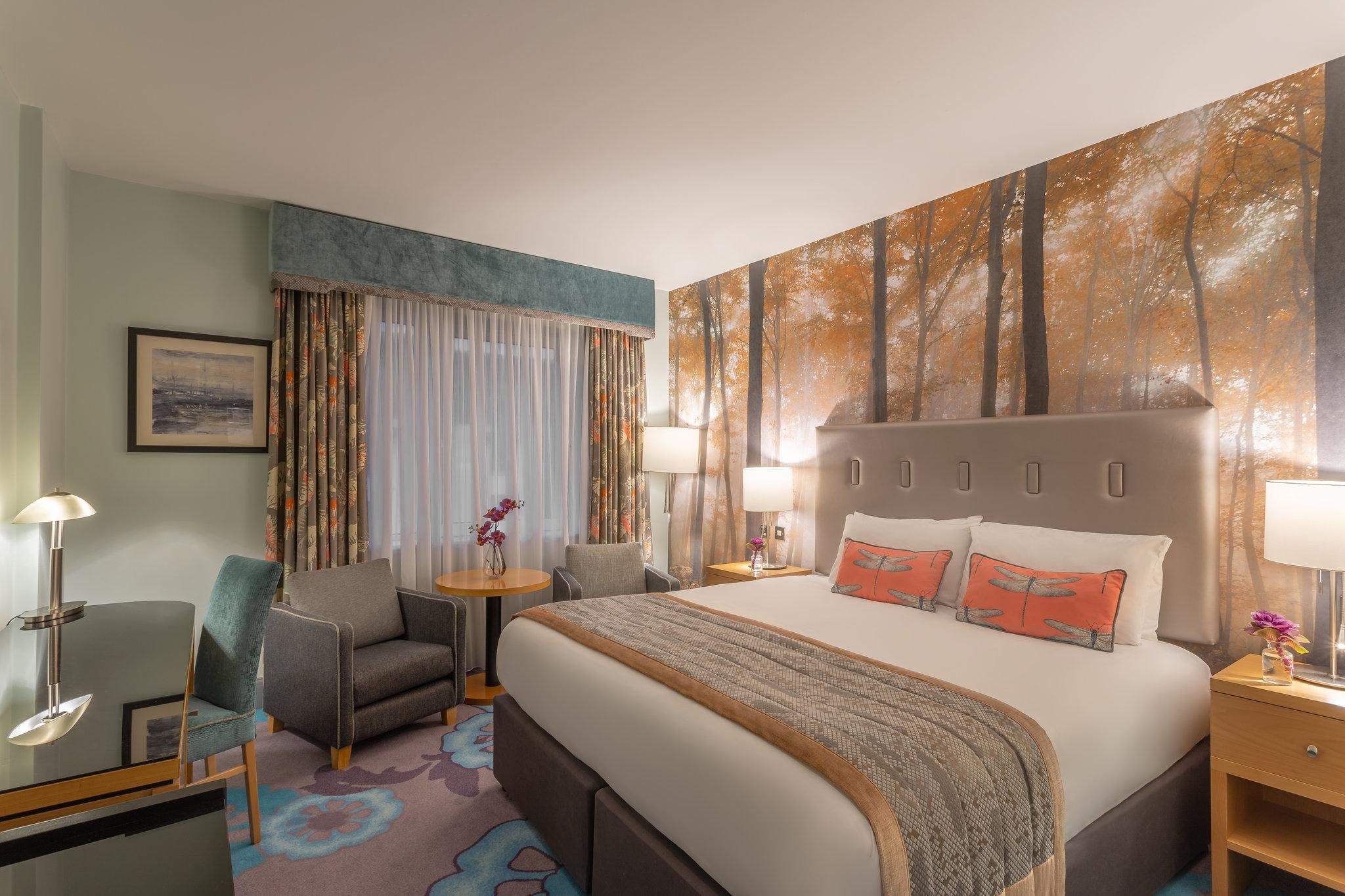 1 King Bed Standard Park View