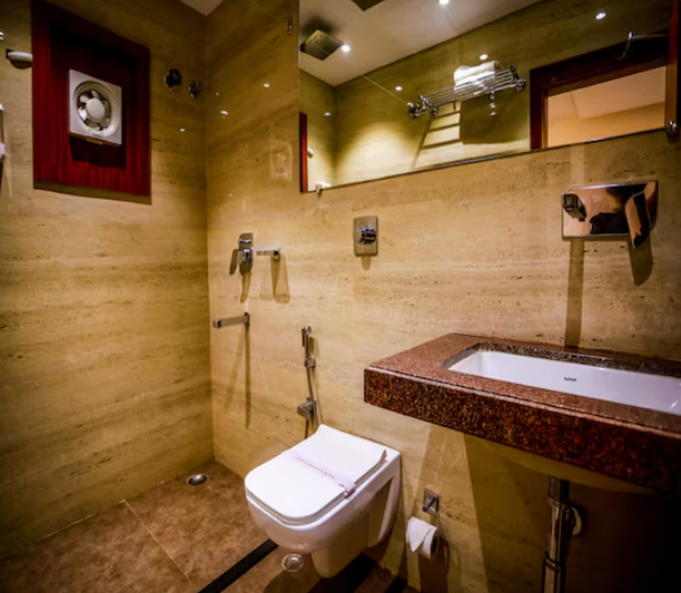 Hotel Aryan Deluxe 3