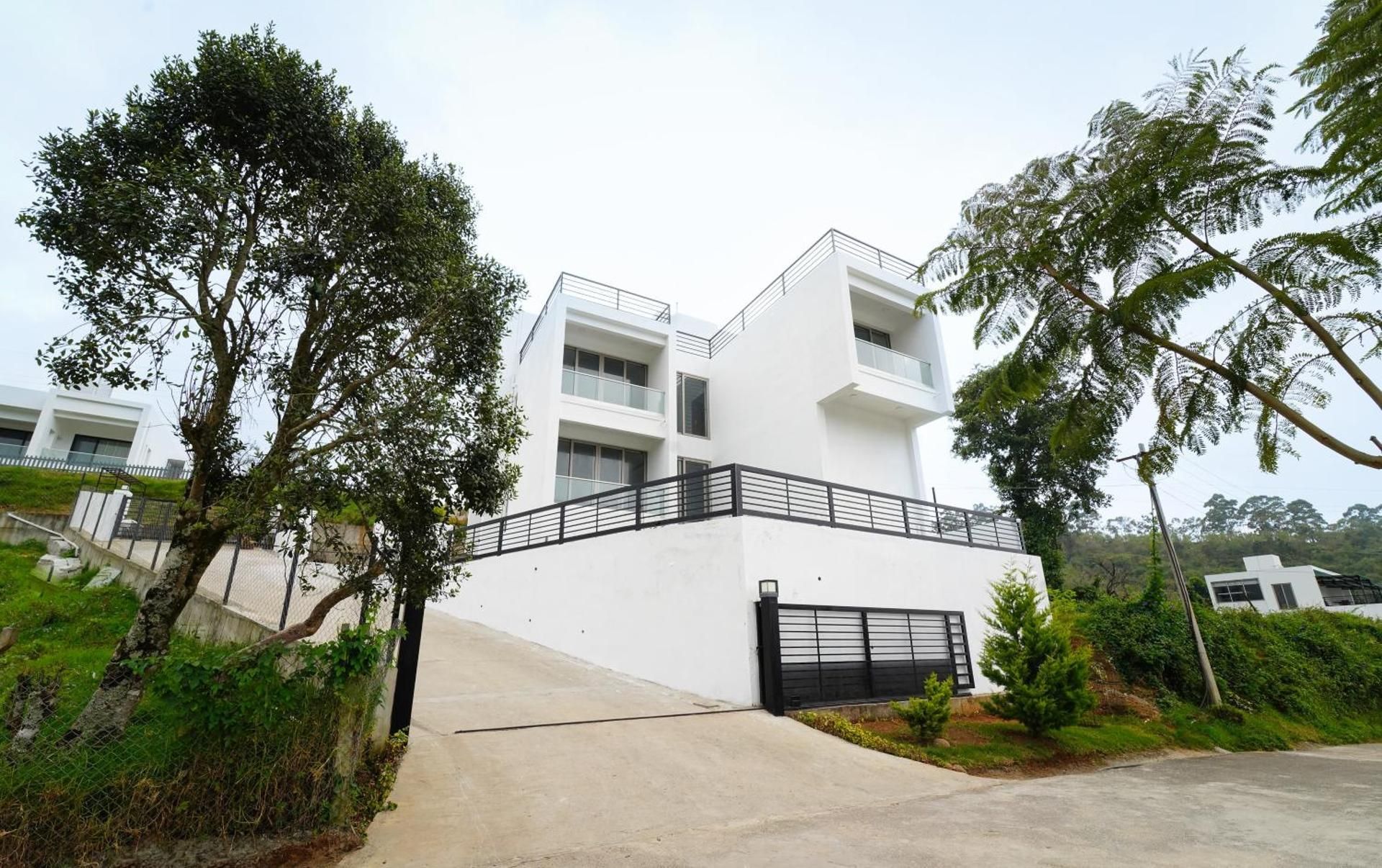 undefined Silver Mist 7