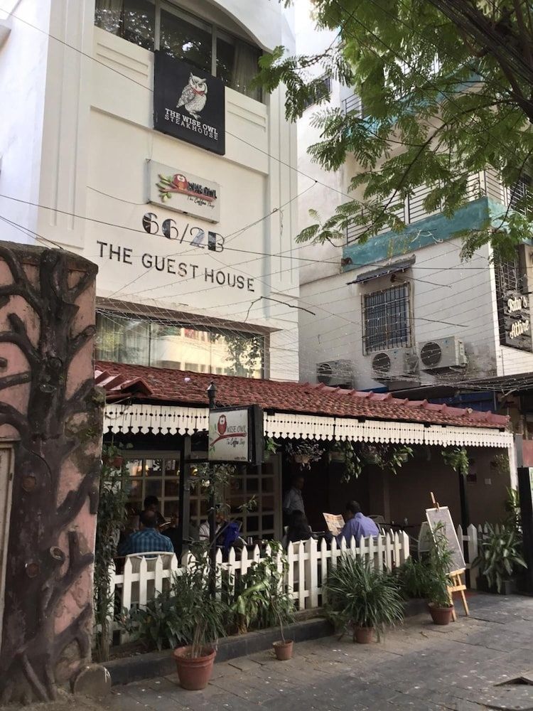 undefined Wise Owl Comfotel