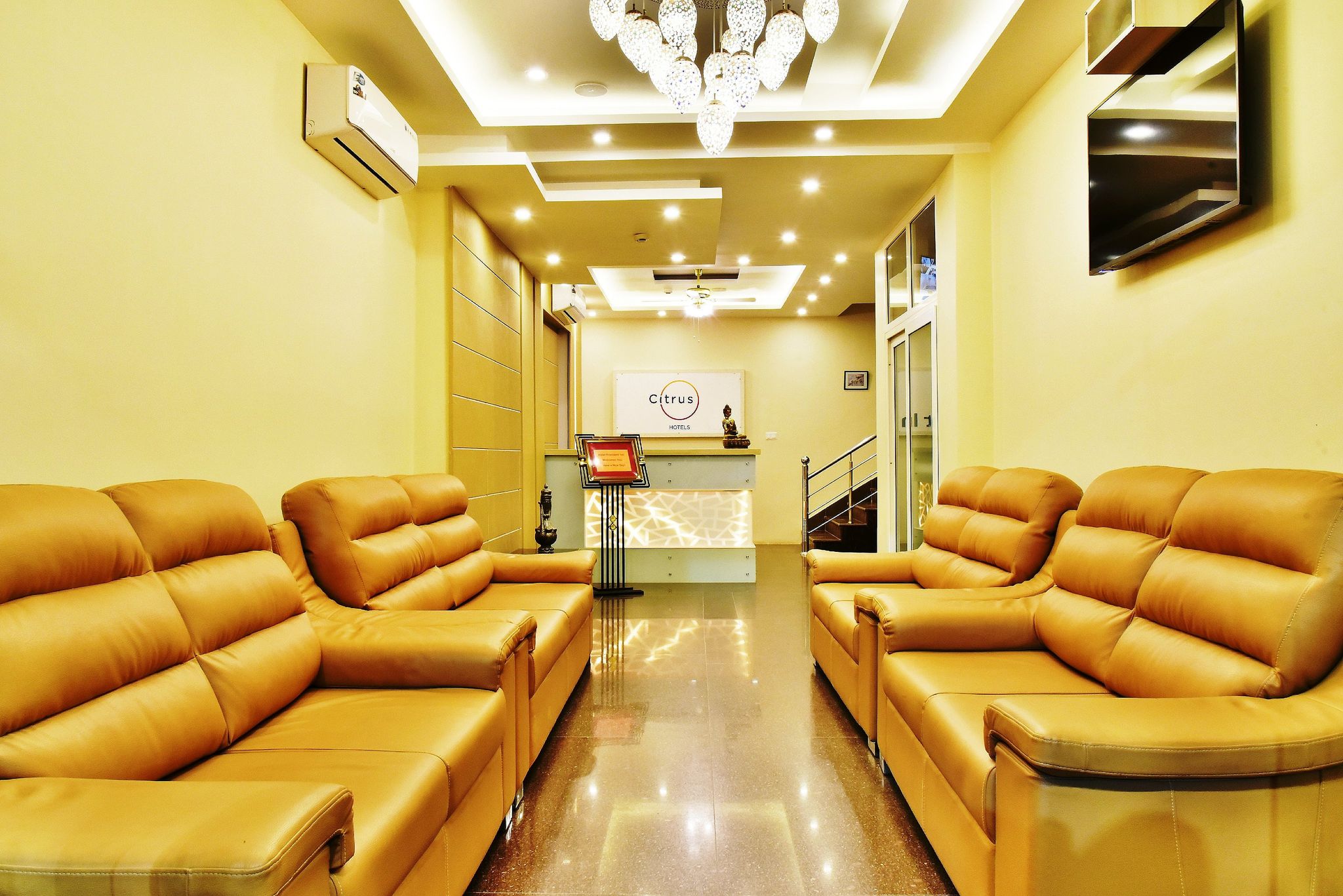 undefined Citrus Classic Mcleodganj 3
