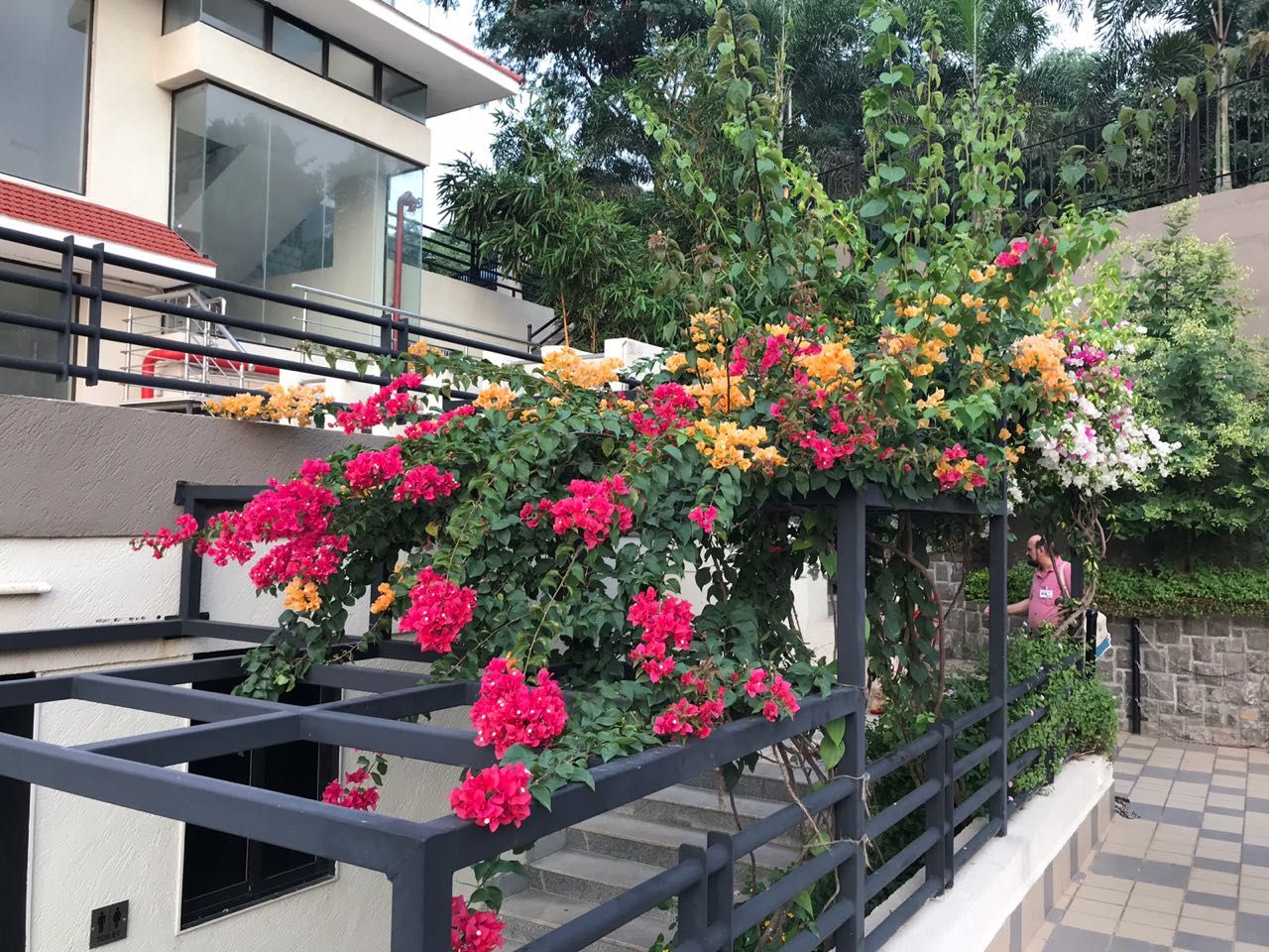 undefined Levels Resort 7