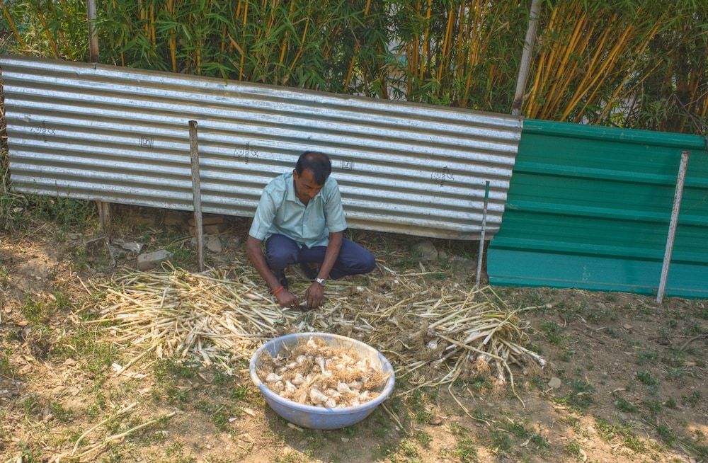 Children's activities