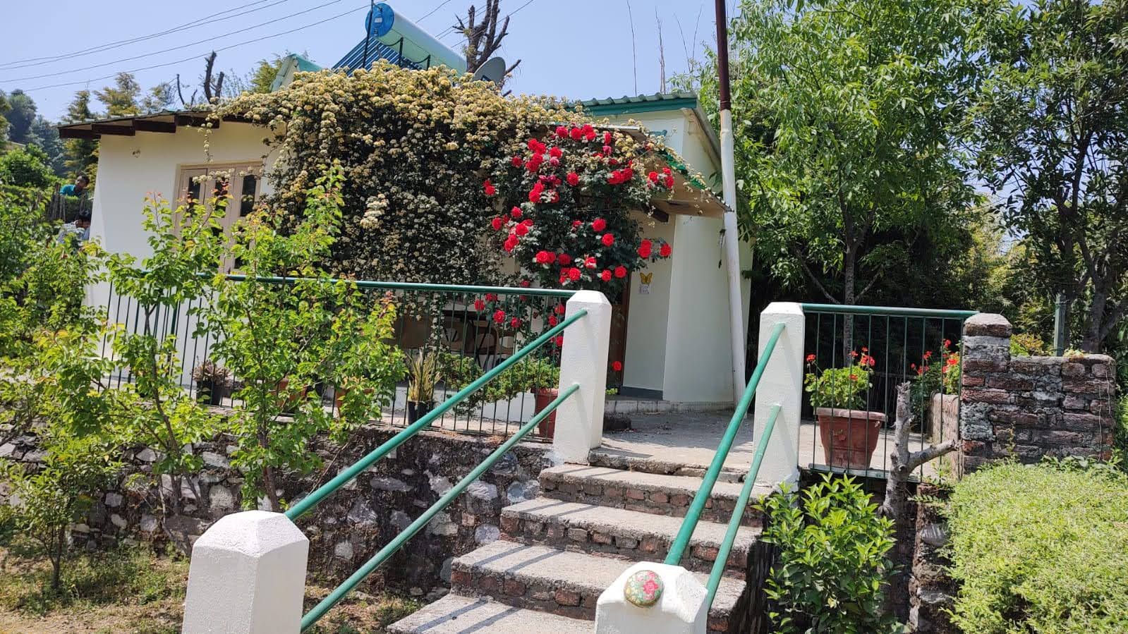 undefined Emerald Trail 6