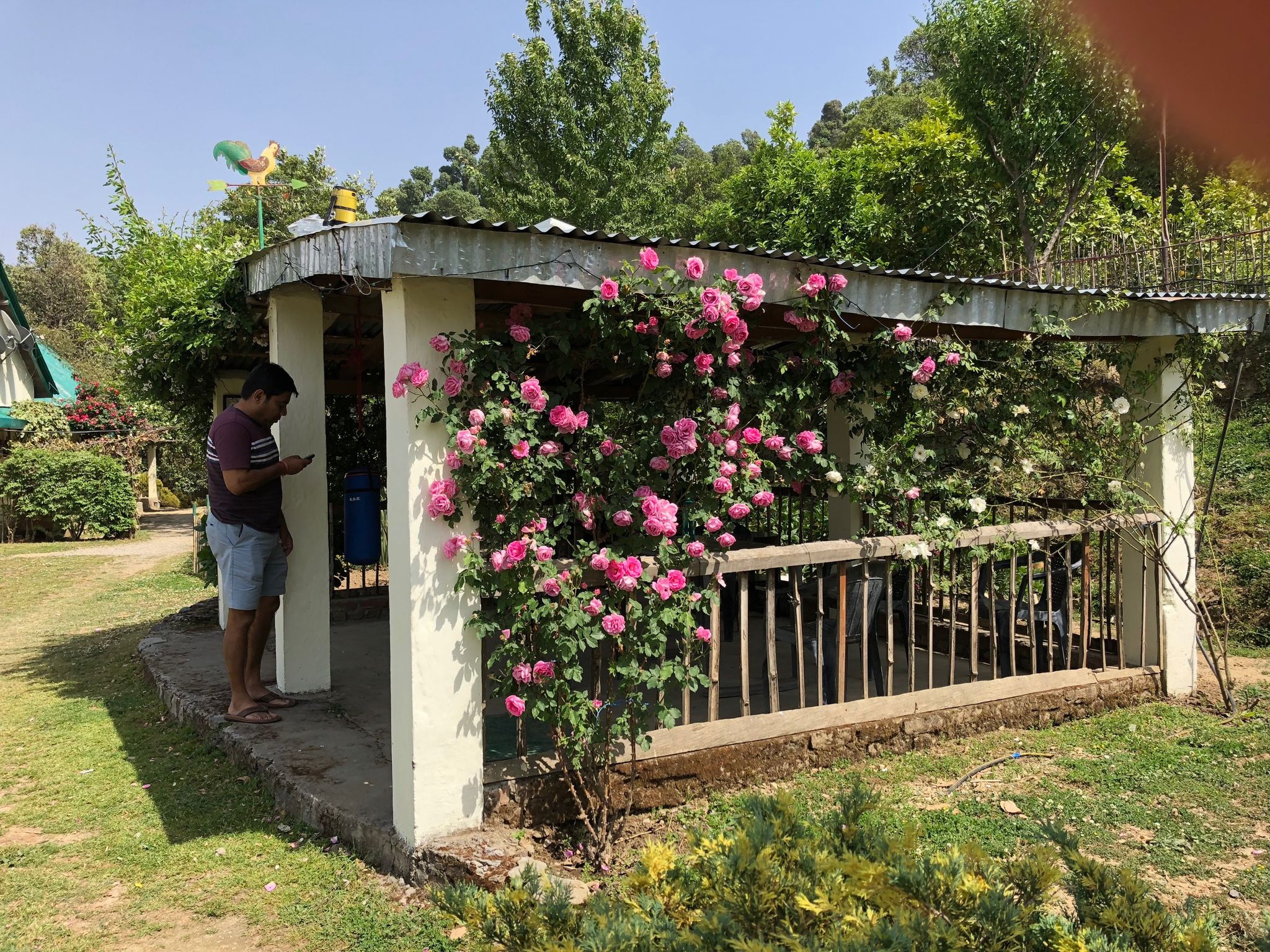 undefined Emerald Trail 9