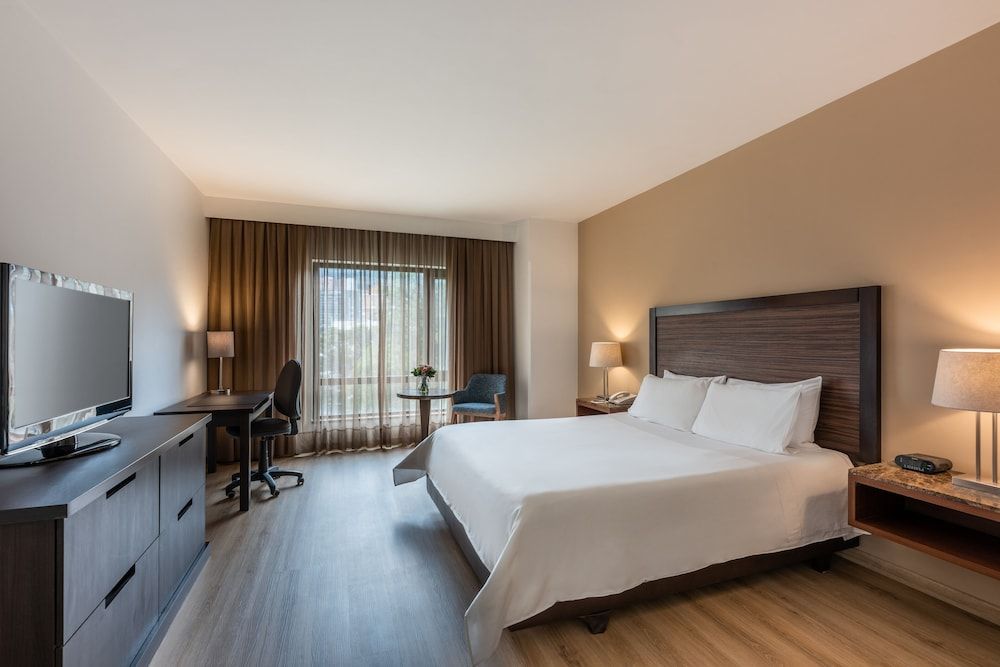 Hotel Morrison Zona Rosa Superior Double Room, 1 Double Bed 3