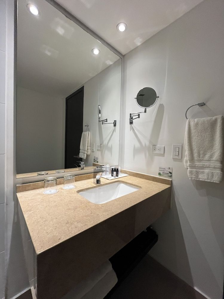 Hotel Morrison Zona Rosa Superior Double Room, 1 Double Bed 9