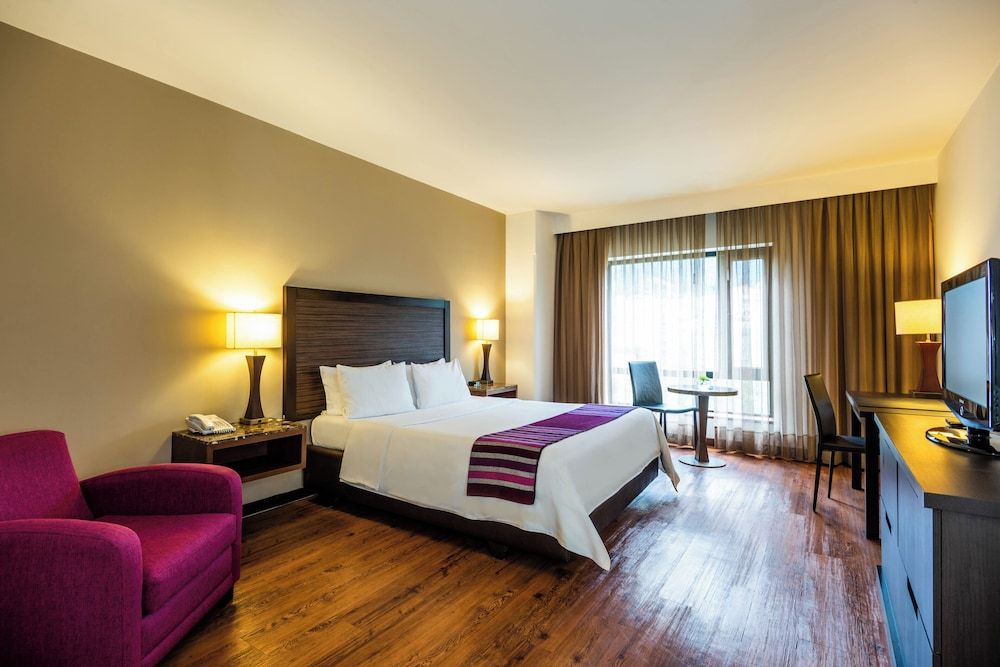 Hotel Morrison Zona Rosa Superior Double Room, 1 Double Bed 4