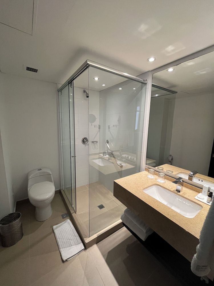 Hotel Morrison Zona Rosa Superior Double Room, 1 Double Bed 8