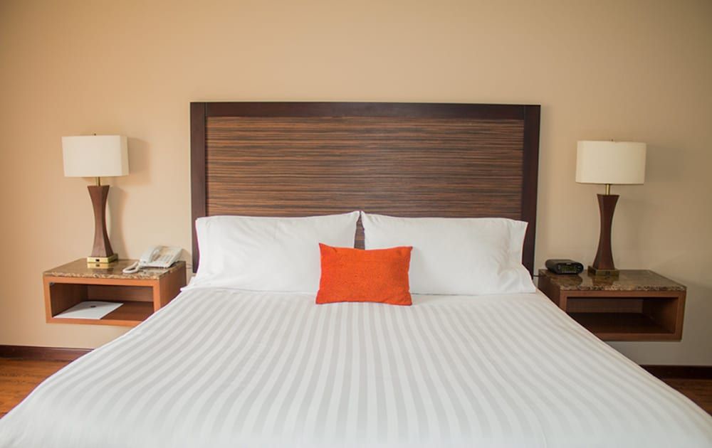 Hotel Morrison Zona Rosa Superior Double Room, 1 Double Bed 6