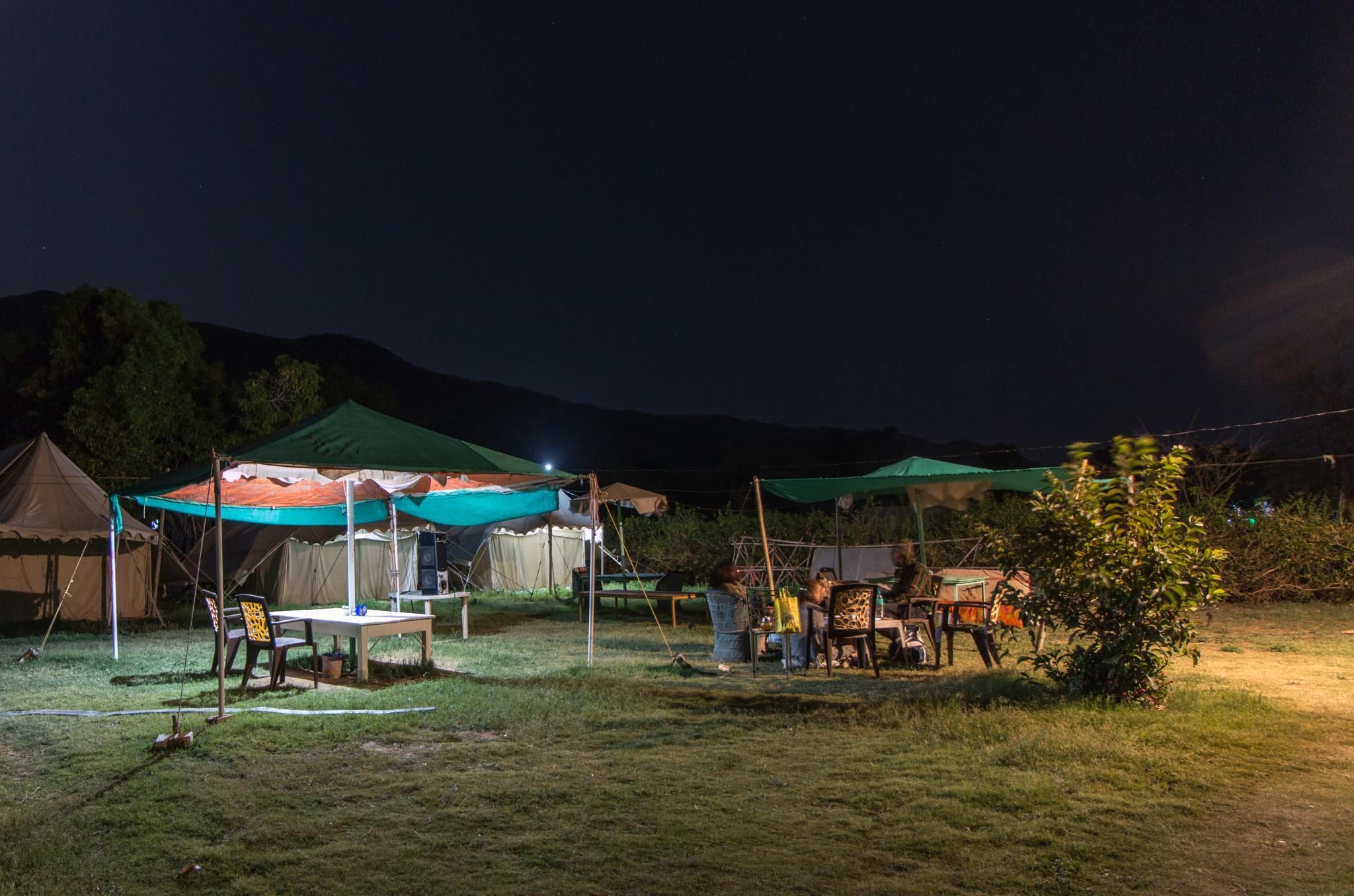 Food & Dining