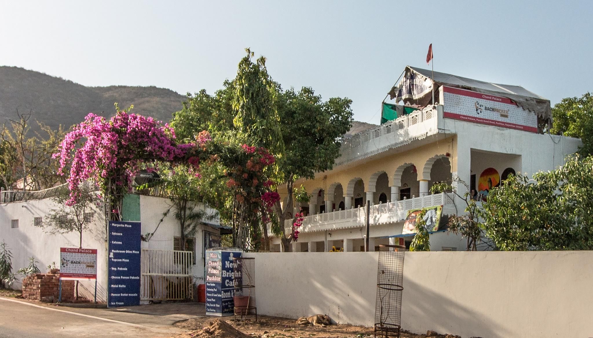 undefined Backpacker Panda Chand Palace 2