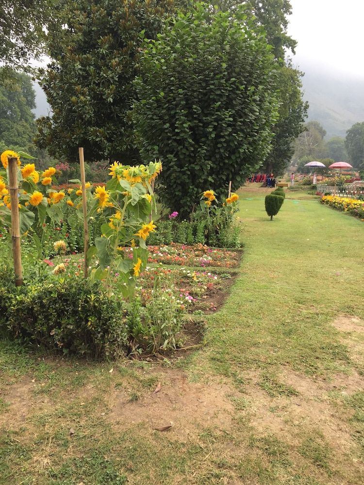 undefined Gemini Group Of Houseboats 9