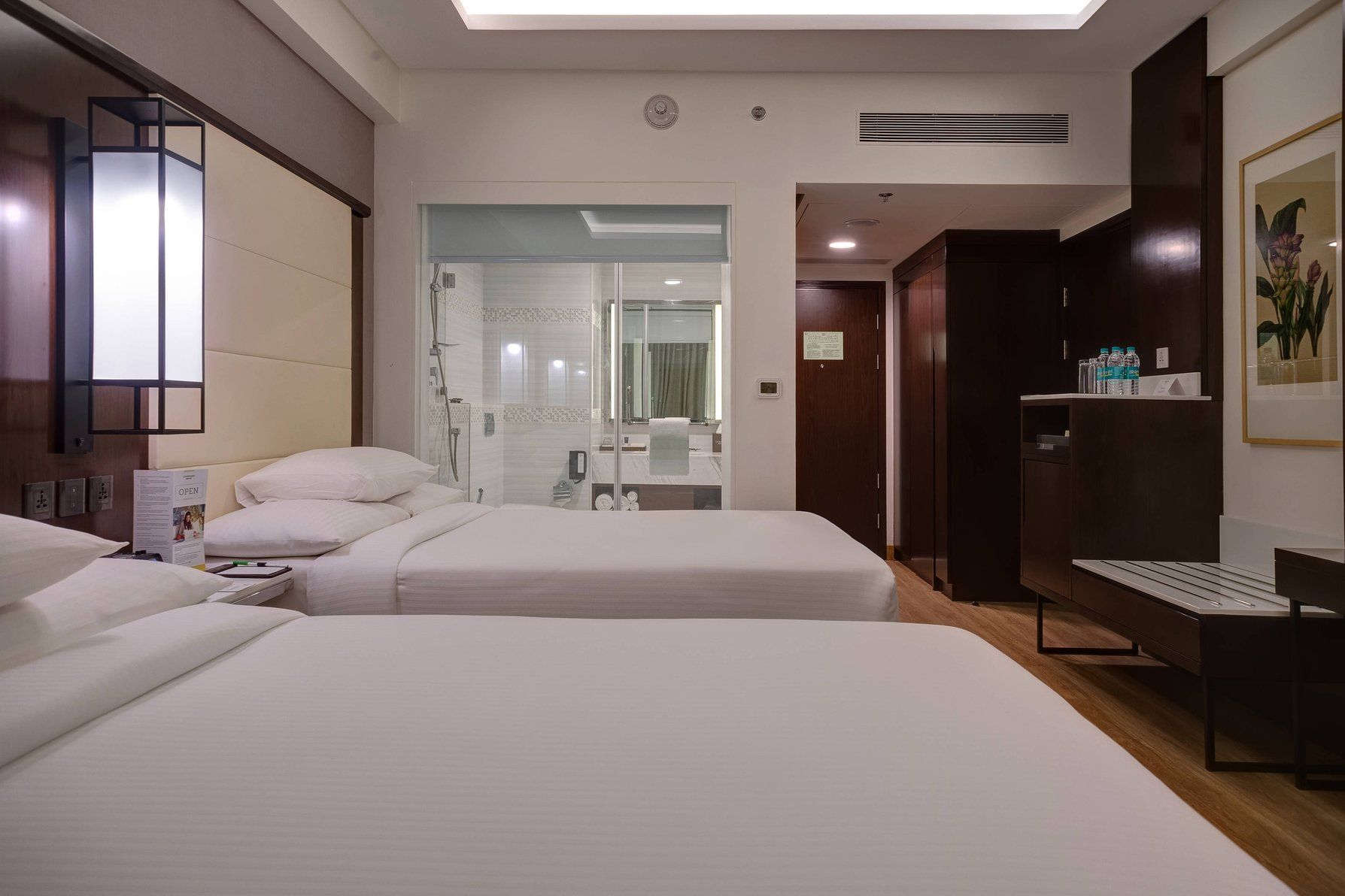 Deluxe Queen Guest Room