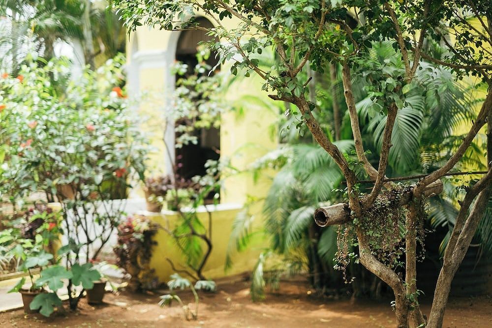 undefined Laika Heritage Stay 8