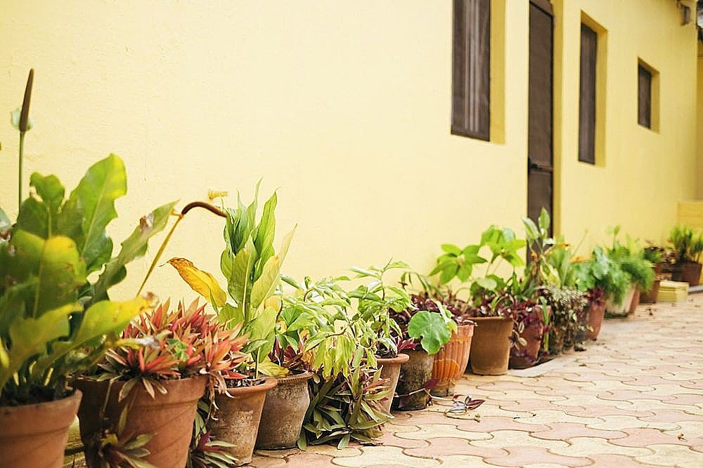 undefined Laika Heritage Stay 10