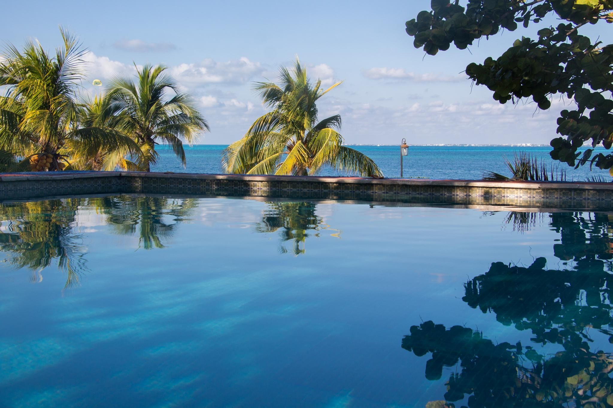 swimming pool [outdoor]