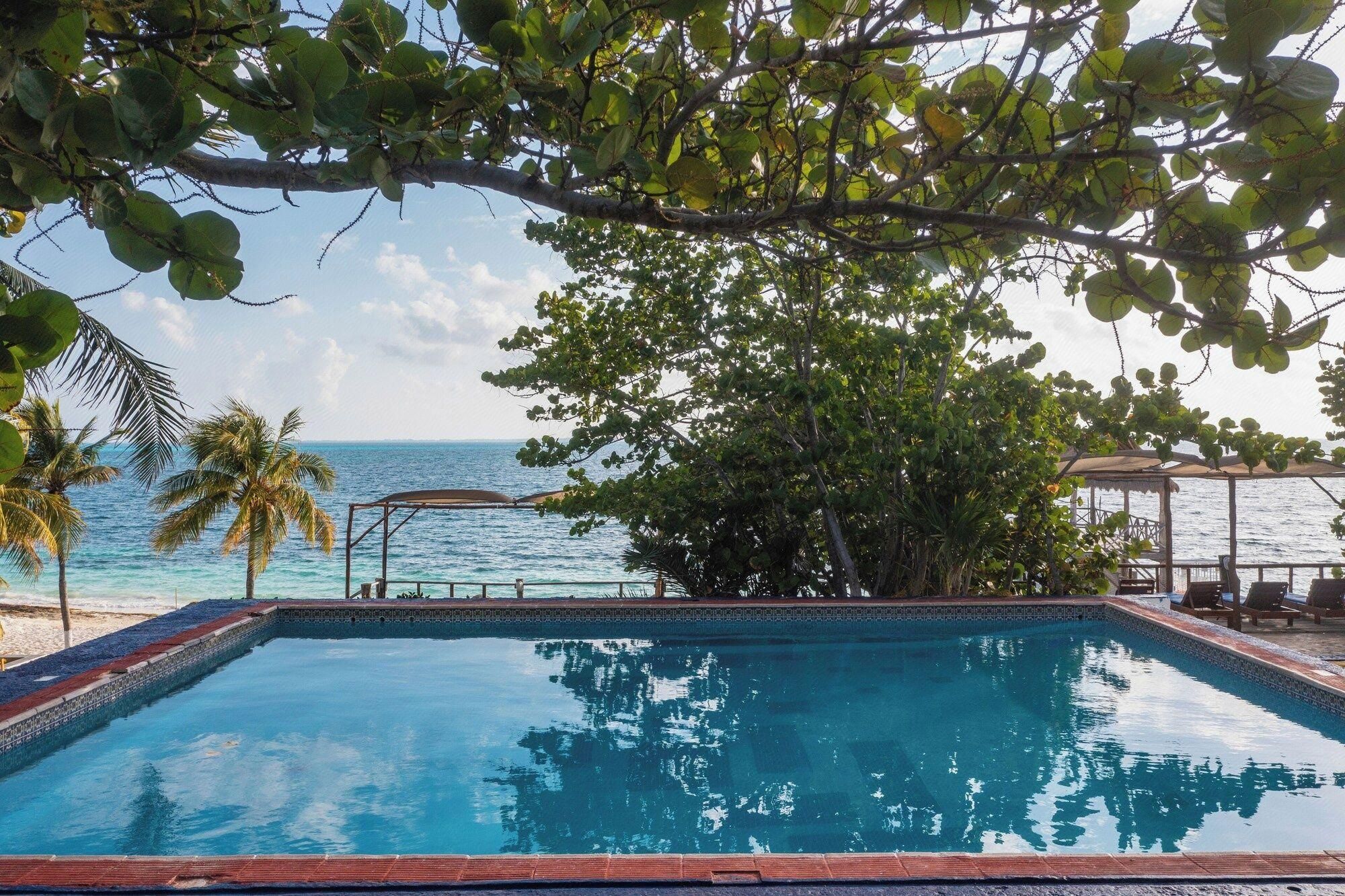 e84346db7017bef55033c86b7dde4407