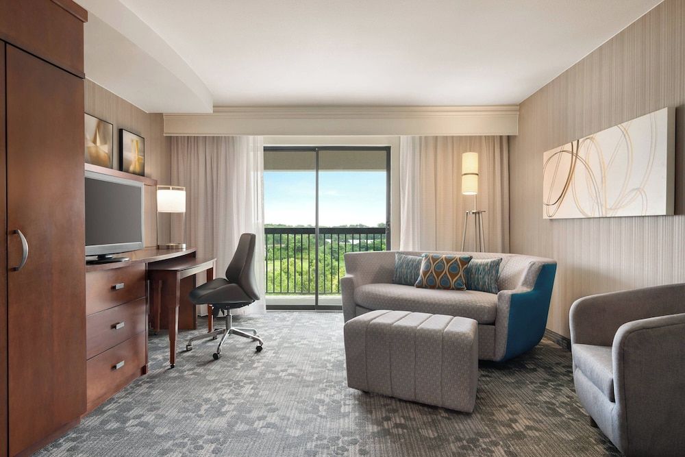 Suite, 1 King Bed with Sofa bed