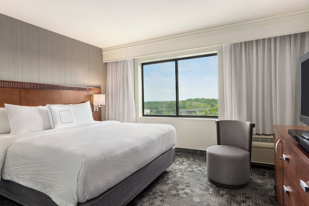 Suite, 1 King Bed with Sofa bed