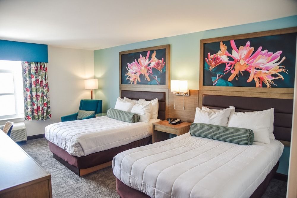 Standard Room, 2 Double Beds