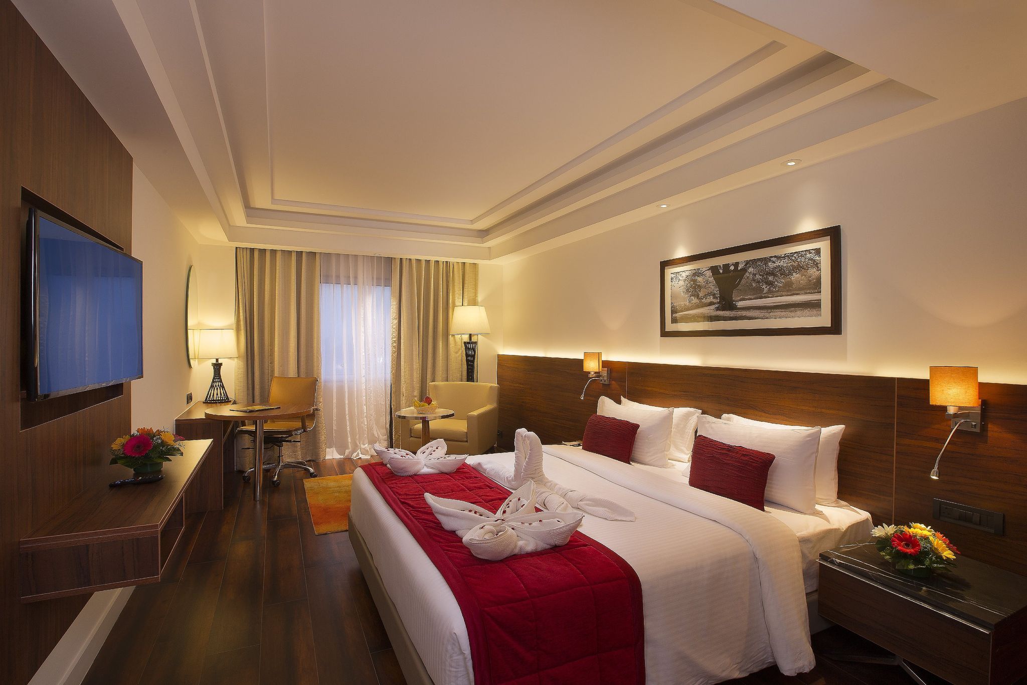 Suite Room