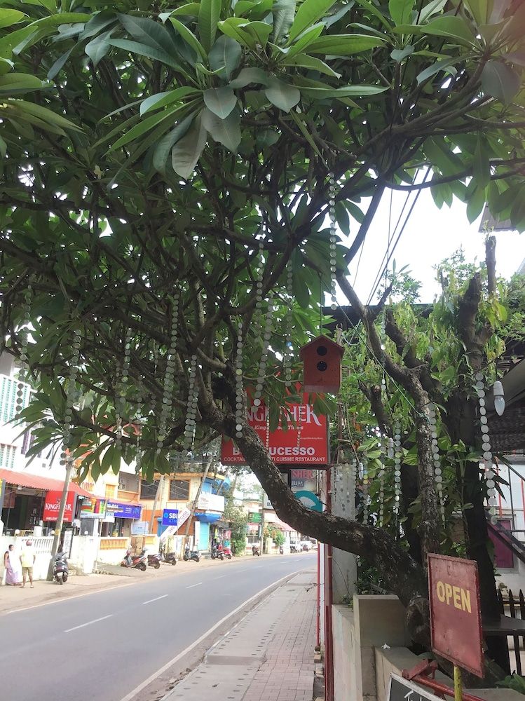 undefined Bom Sucesso 10