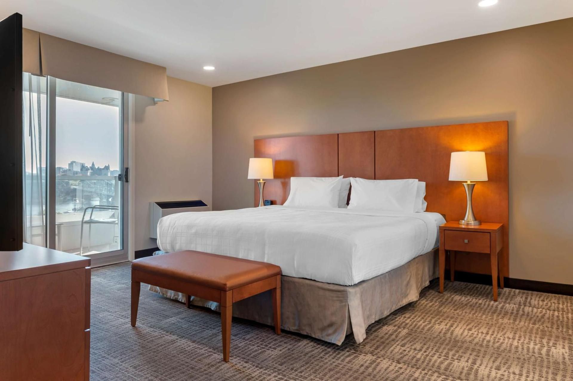 Suite - 1 King Bed, Nonsmoking, Executive Room, Sofabed, Separate Living Area