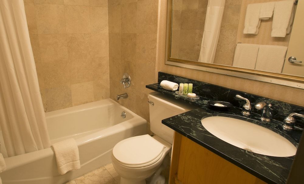 Adria Hotel And Conference Center Studio, 1 Queen Bed, Non Smoking 2