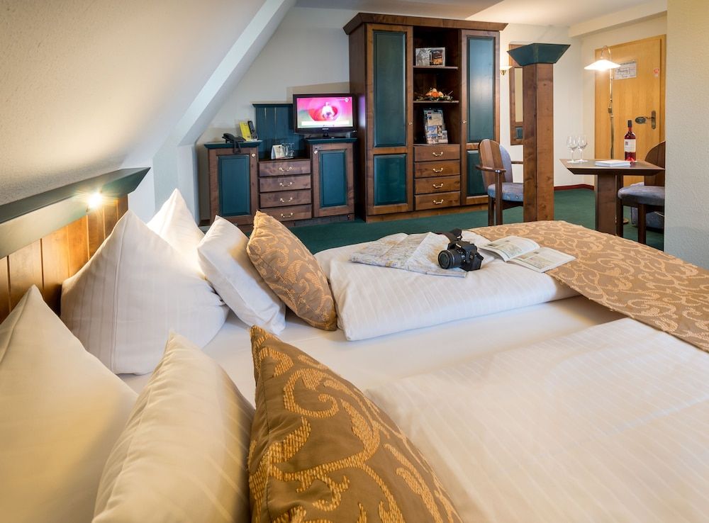 Hotel Saigerhuette Classic Room 6