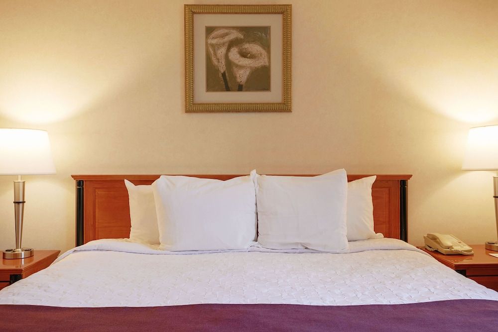 undefined Hotel St-Denis 9