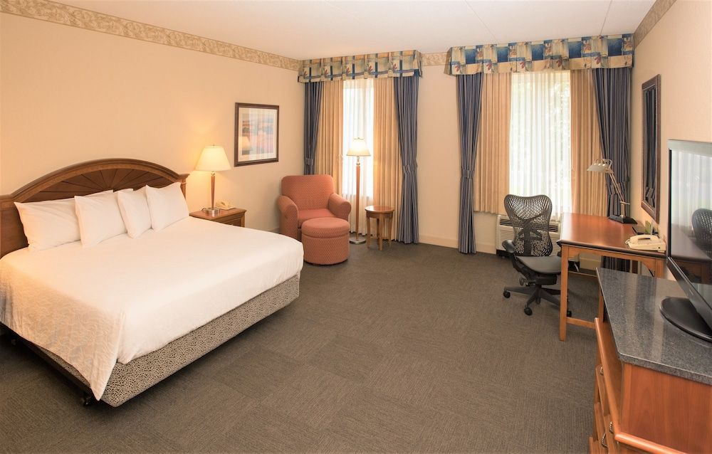 Room, 1 King Bed, Accessible