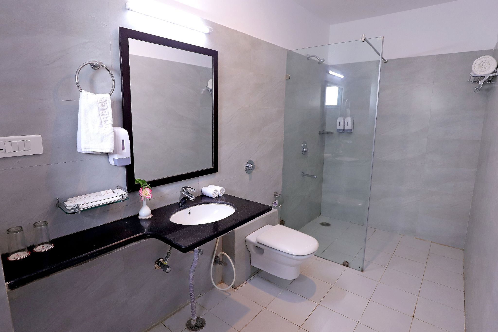 undefined Tulip Le Grand 8