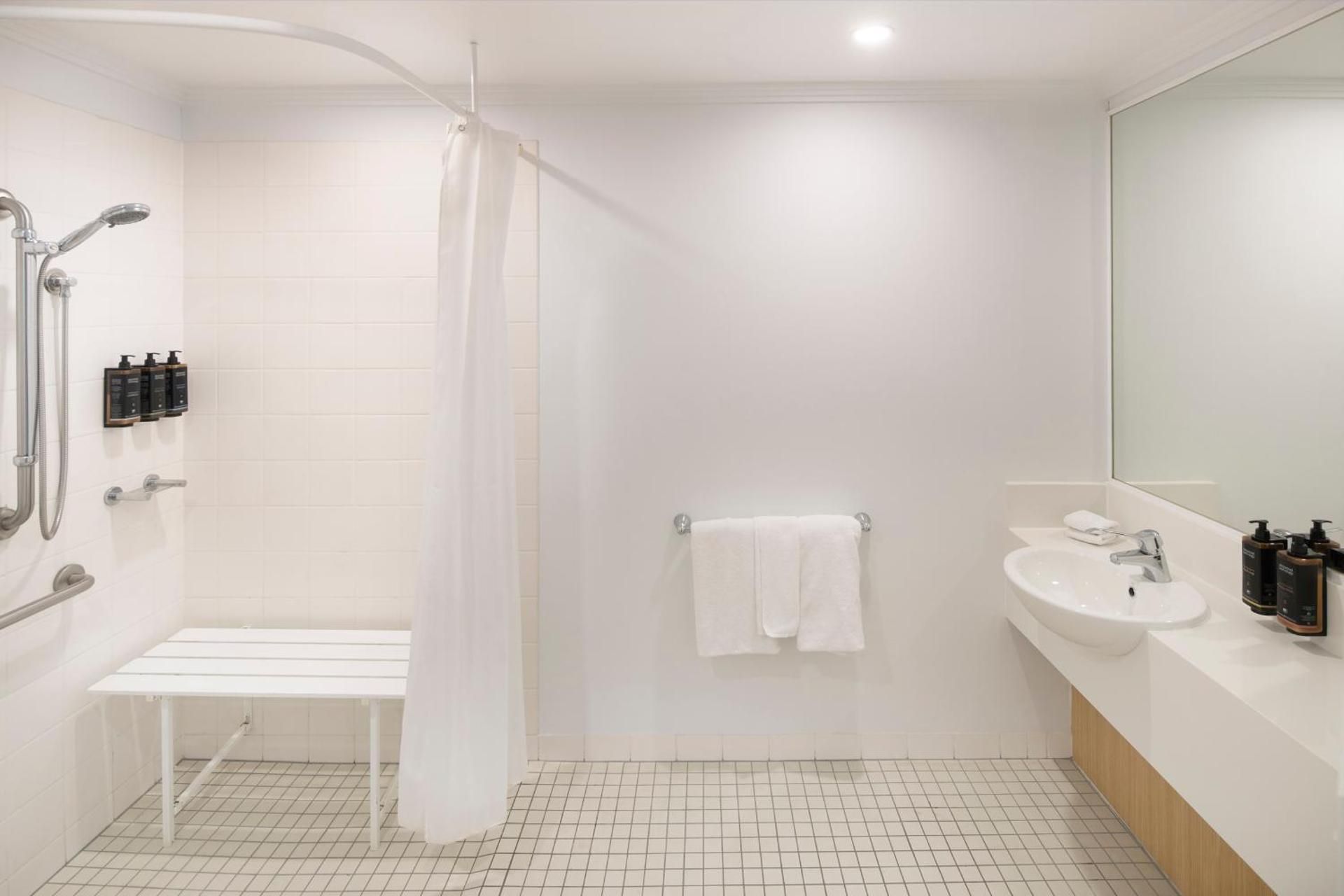Standard Accessible Room